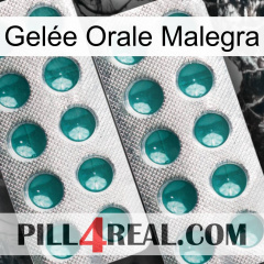Gelée Orale Malegra dapoxetine2